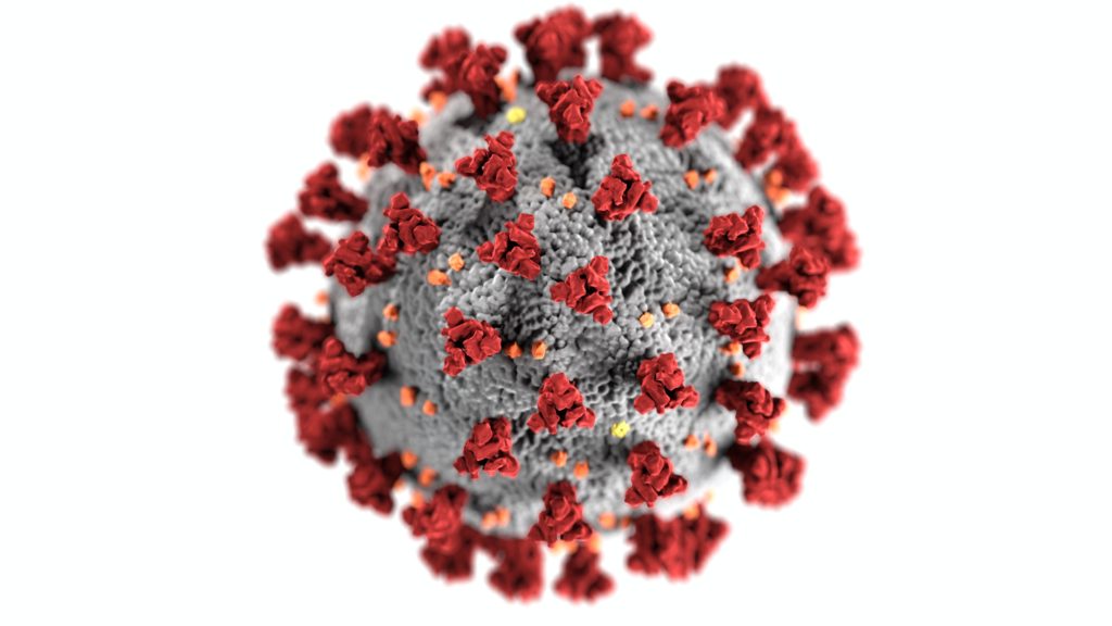 Coronavirus. Source Centers for Disease Control (CDC).