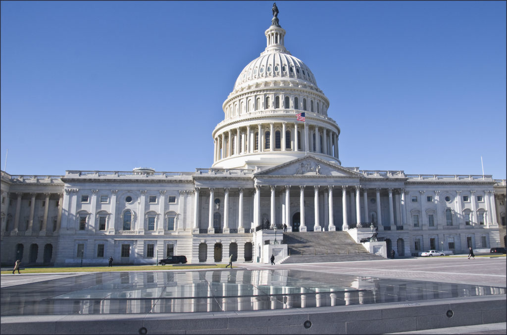 U.S. Capitol Building. Source: Ron Cogswell via Flickr